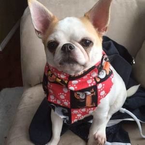 Meet your Posher, Janice